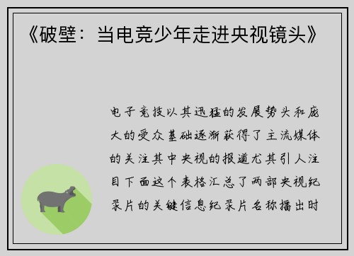 《破壁：当电竞少年走进央视镜头》